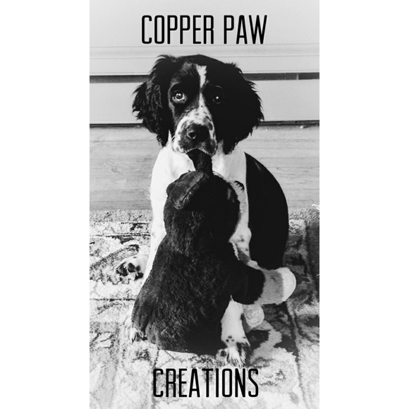 Meet your Posher, Jayson - Picture 1 of 1